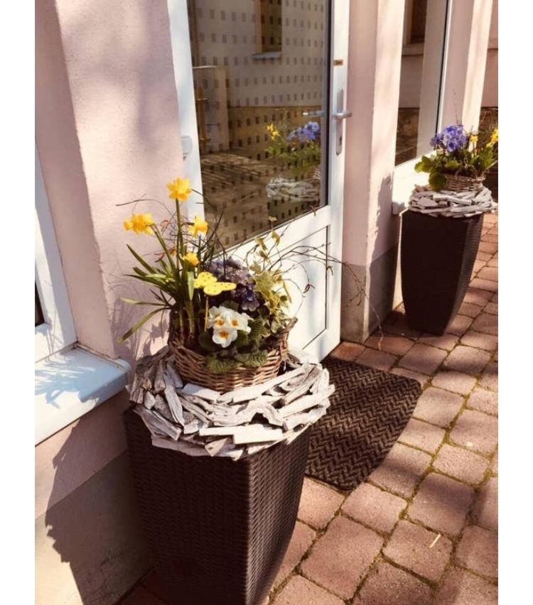 Ferienwohnung Marina An Der Romantischen Strasse 魏克尔斯海姆 外观 照片